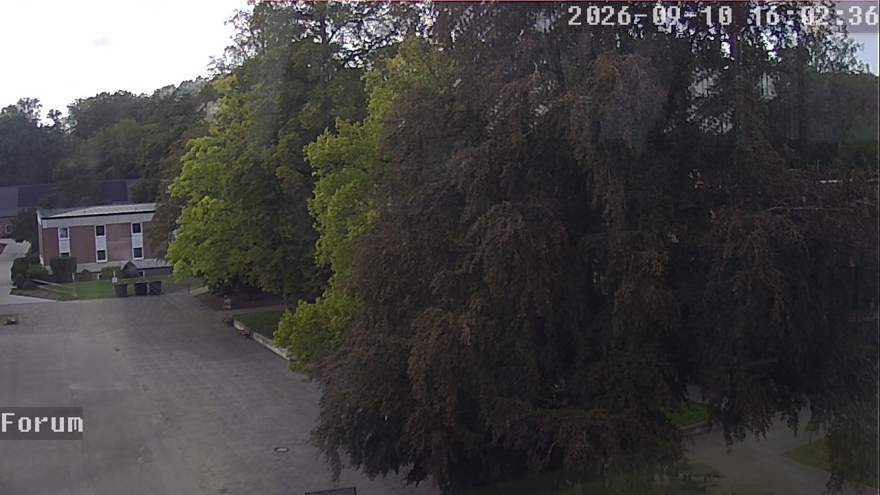 Webcam Forum 16:02