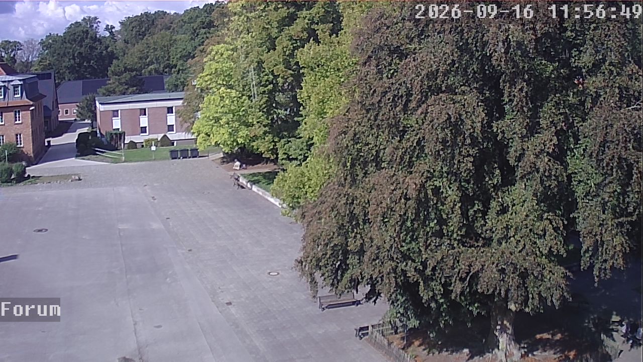 Webcam Forum 11:56