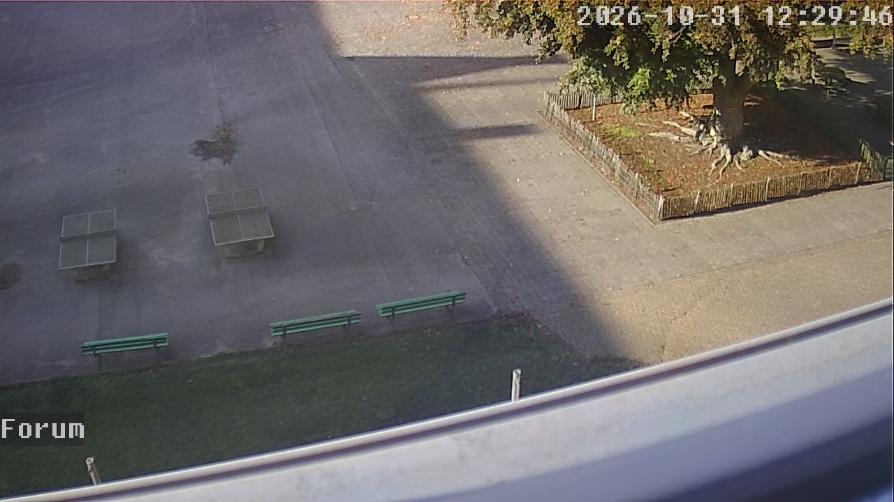 Webcam Forum 12:29