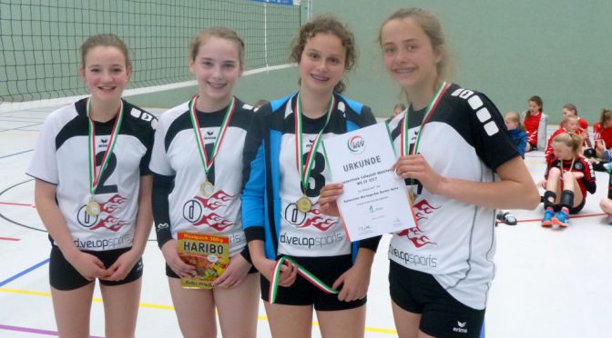 Volleyballteam wird Landesmeister