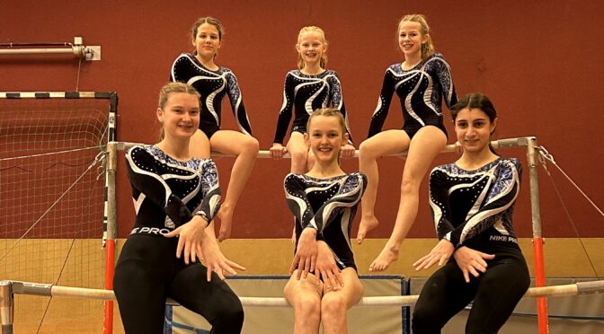 Bezirksmeisterschaften im Gerätturnen