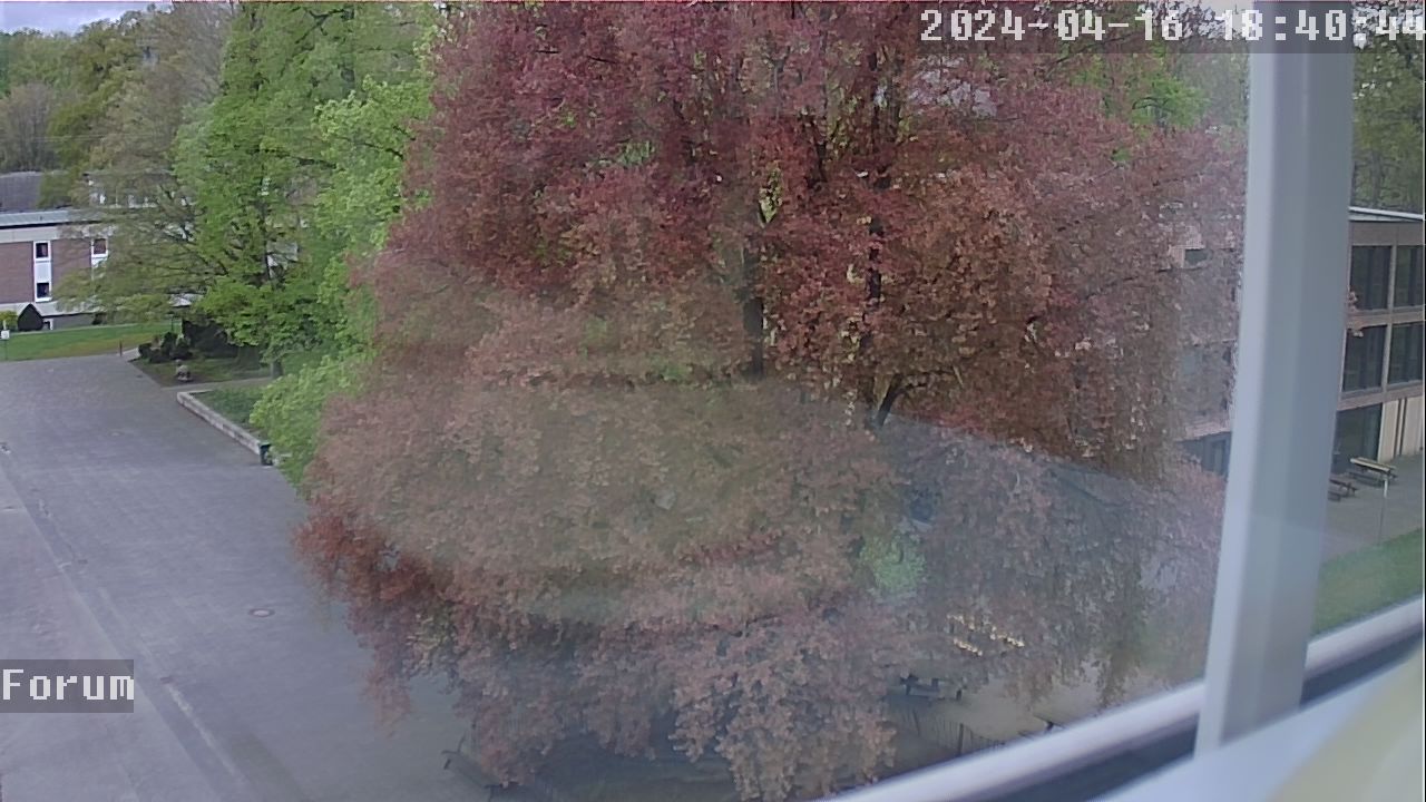 Webcam Schulhof 17:40