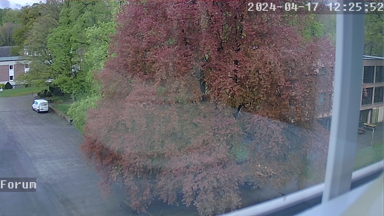 Webcam Schulhof 11:25