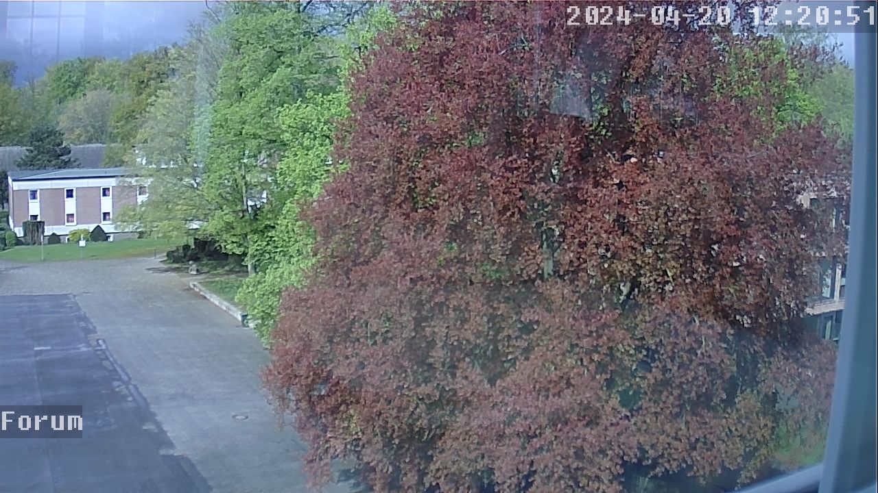 Webcam Schulhof 11:20