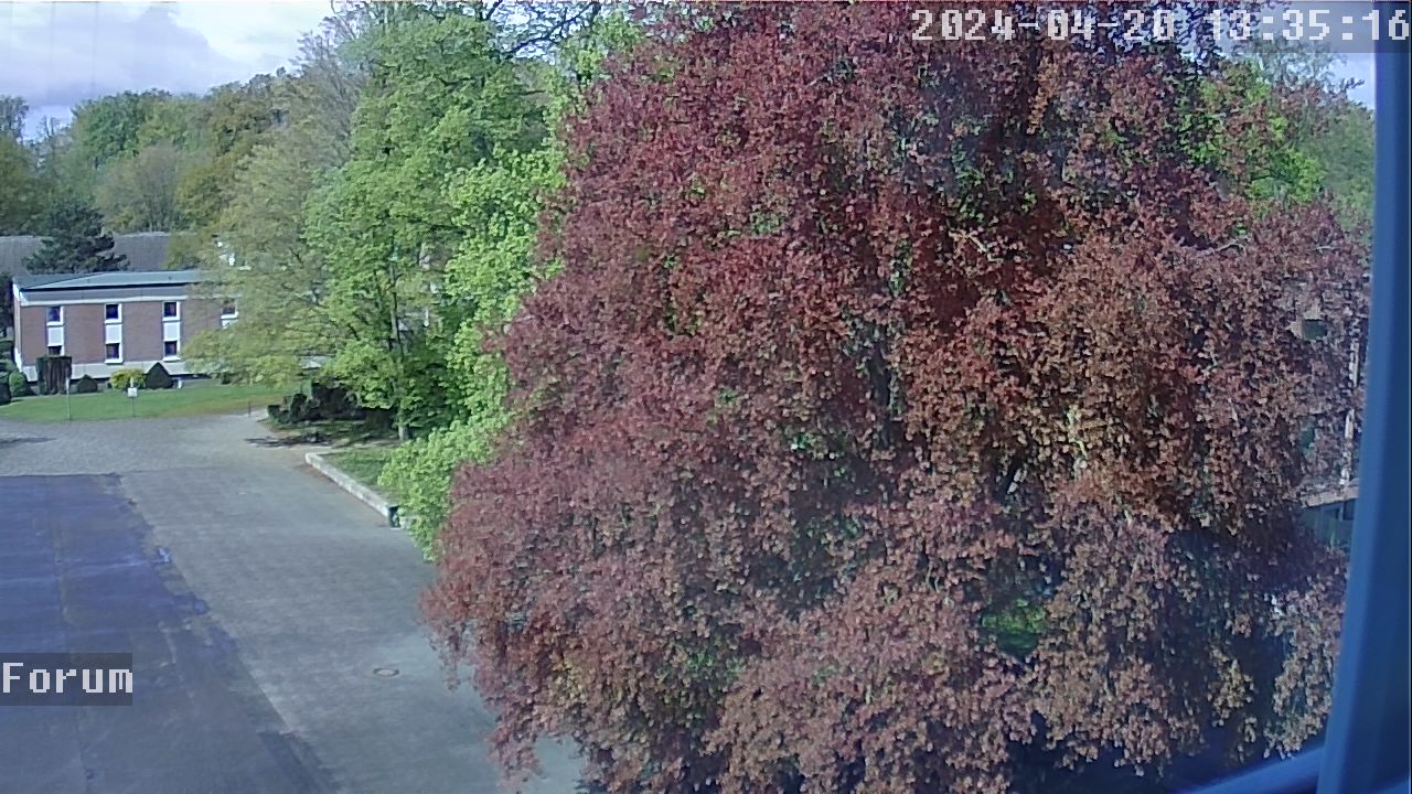 Webcam Schulhof 12:35