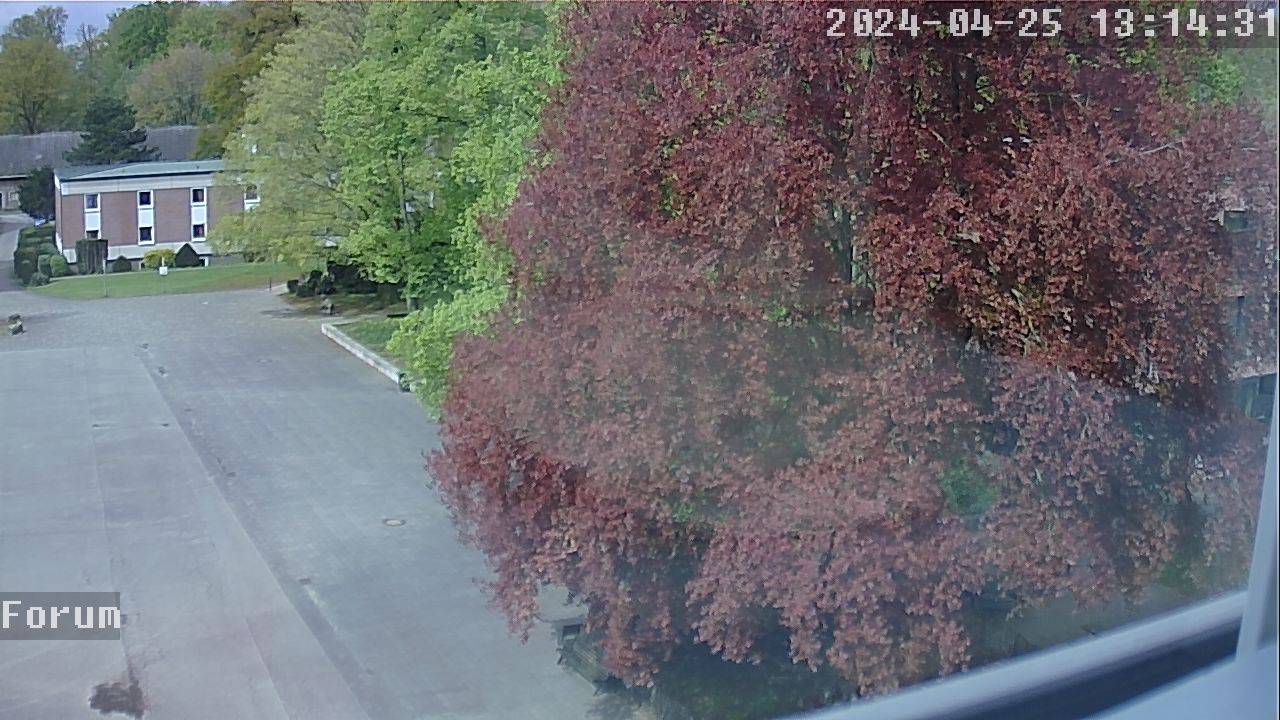 Webcam Schulhof 12:14