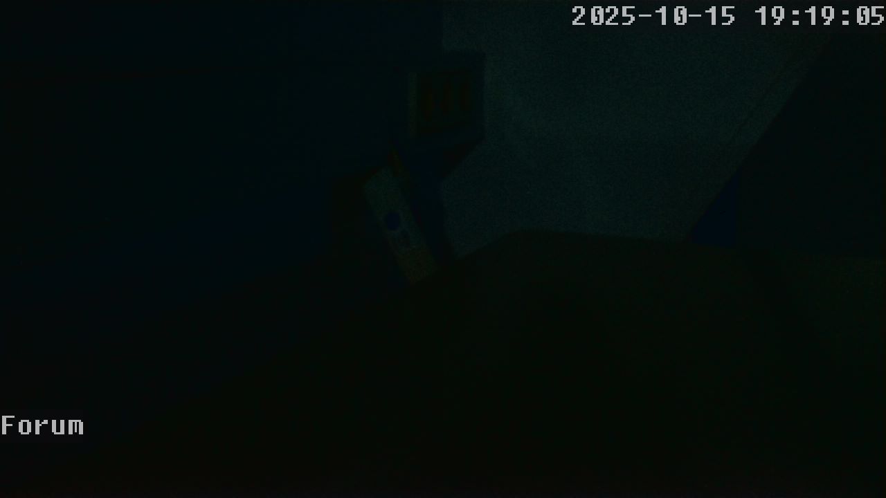 Webcam Forum 19:19
