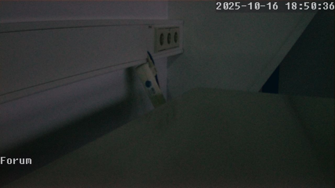 Webcam Forum 18:50