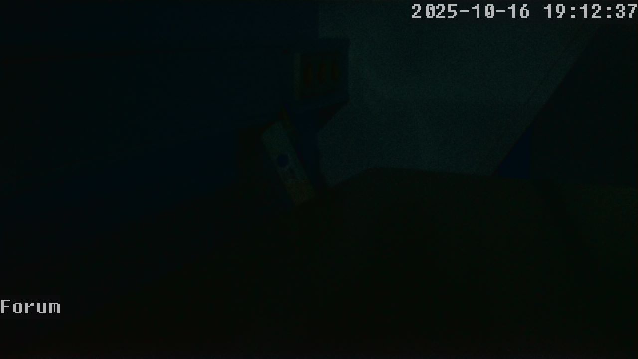 Webcam Forum 19:12