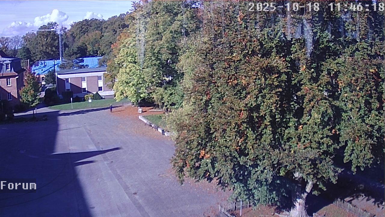Webcam Forum 11:46