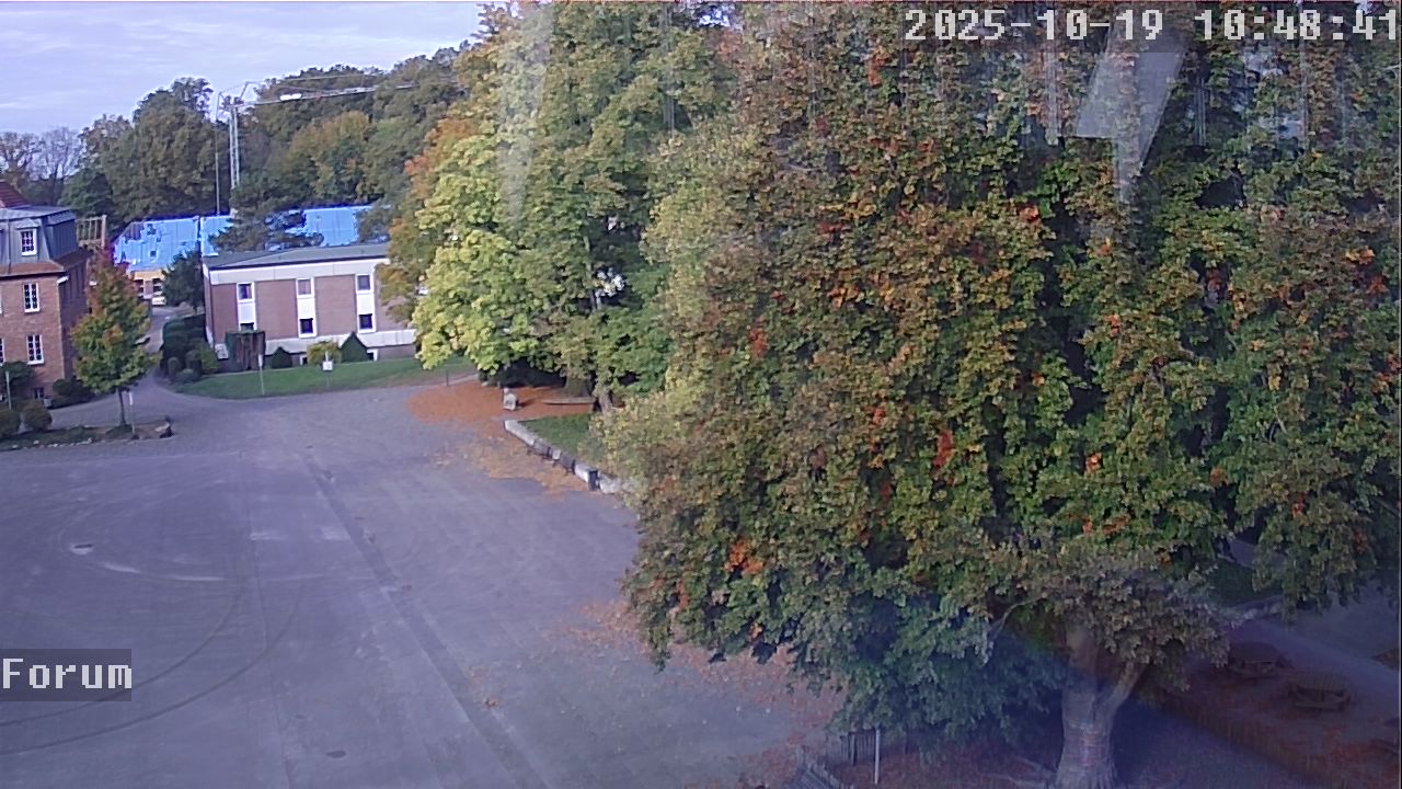 Webcam Forum 10:48