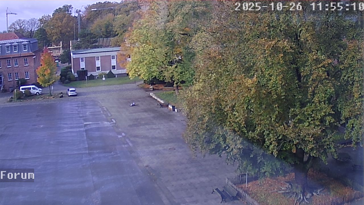 Webcam Forum 11:55