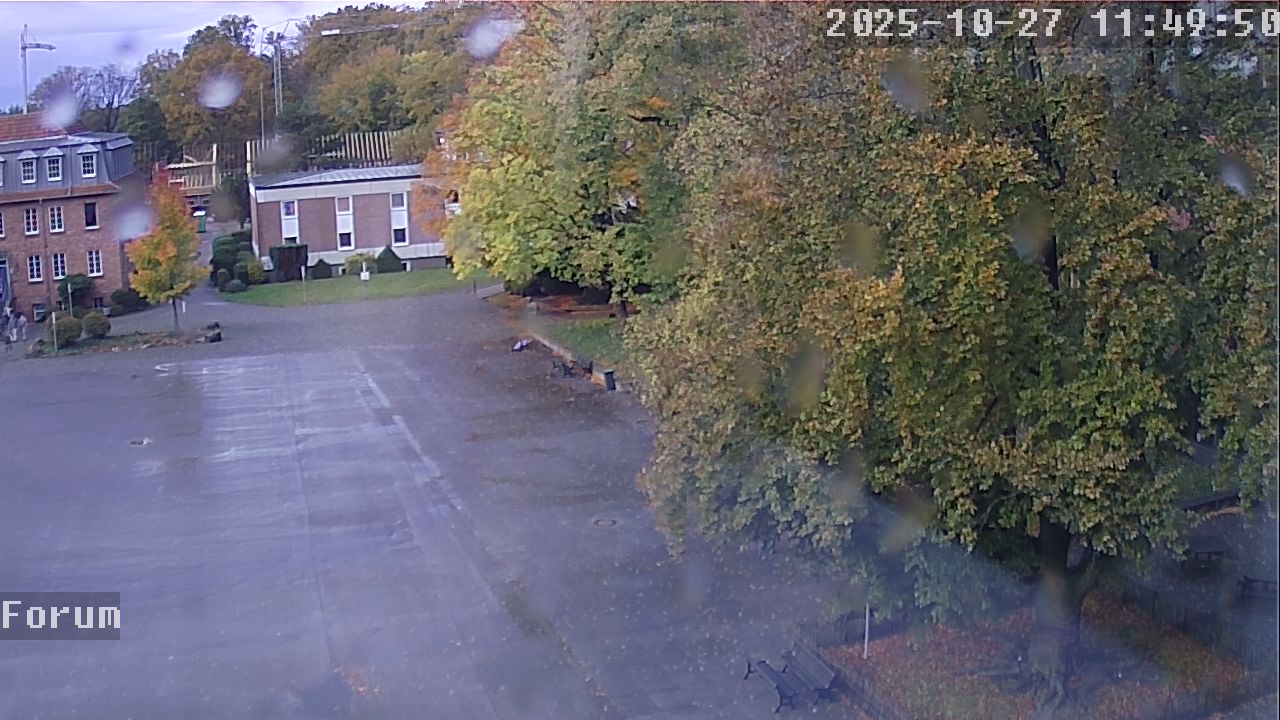 Webcam Forum 11:49