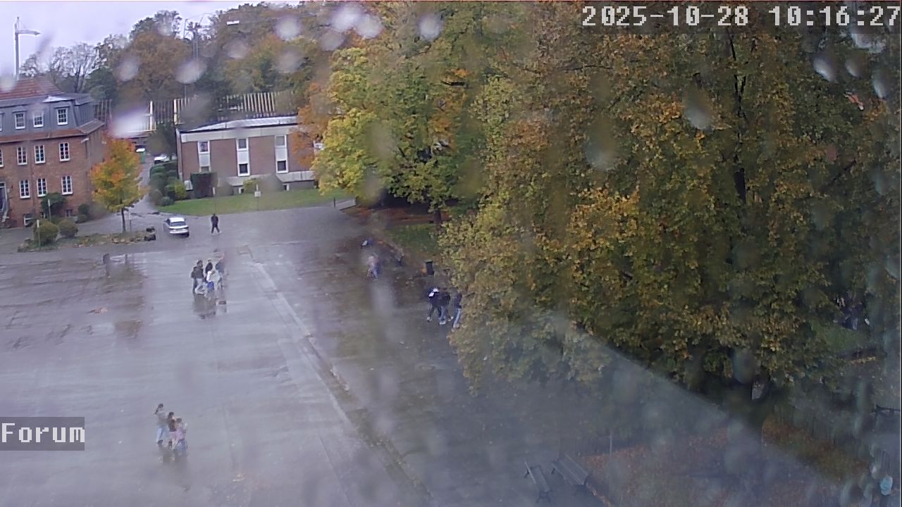 Webcam Forum 10:16