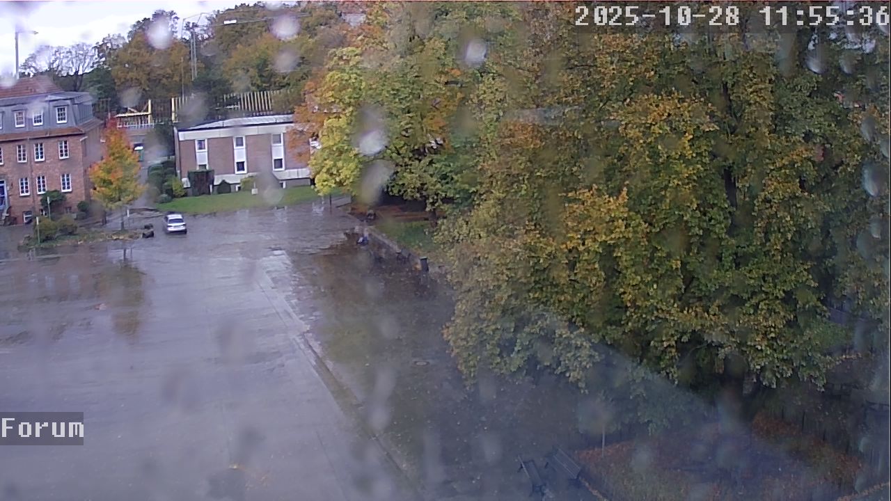 Webcam Forum 11:55
