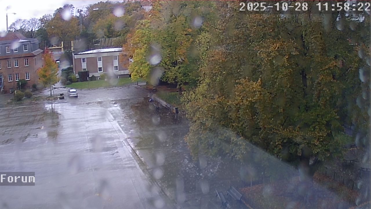 Webcam Forum 11:58
