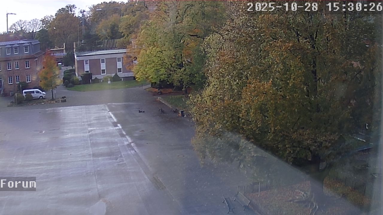 Webcam Forum 15:30