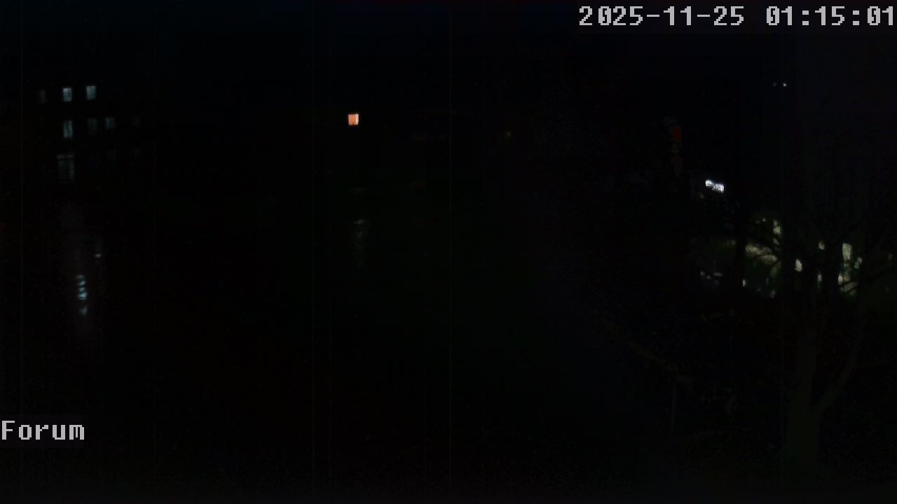 Webcam Forum 01:15