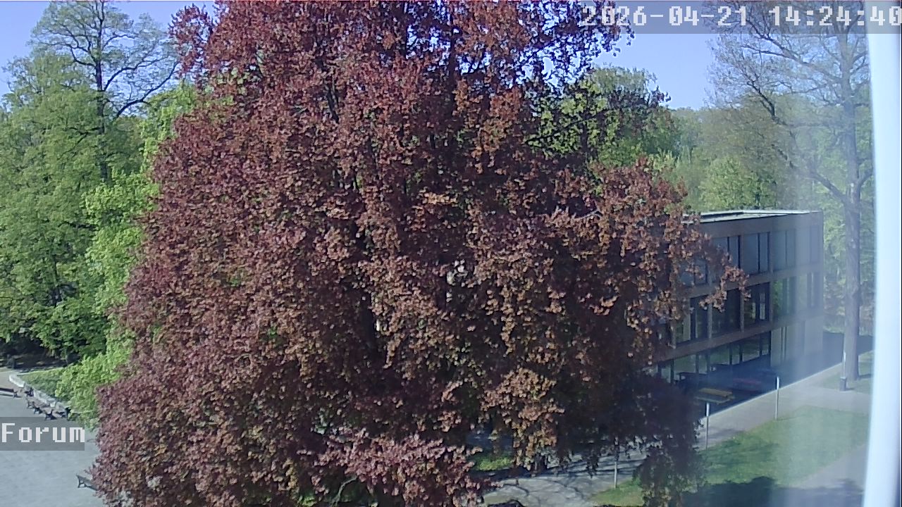 Webcam Forum 14:24