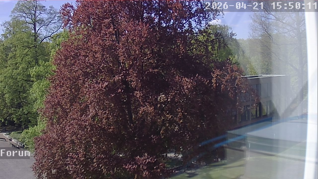 Webcam Forum 15:50