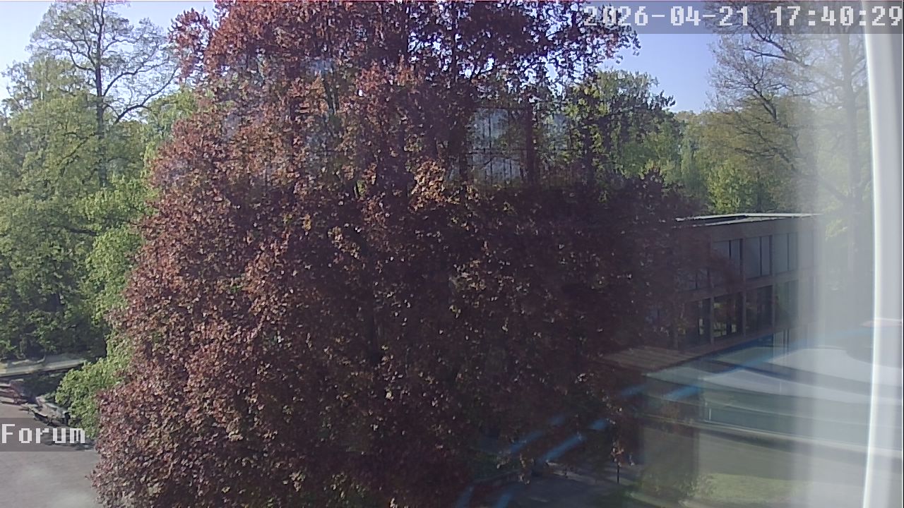 Webcam Forum 17:40
