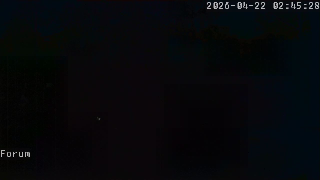 Webcam Forum 02:45