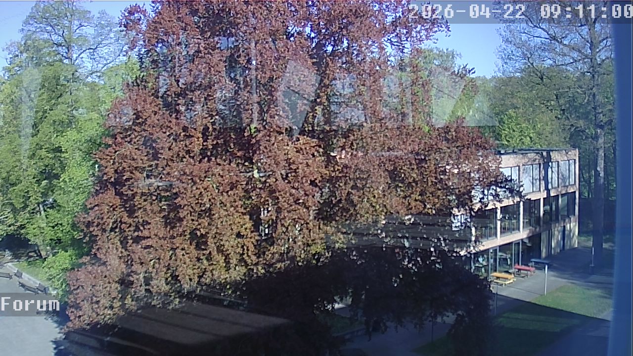 Webcam Forum 09:11