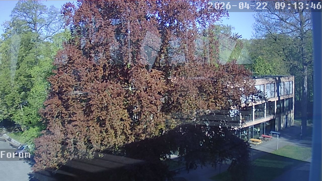Webcam Forum 09:13