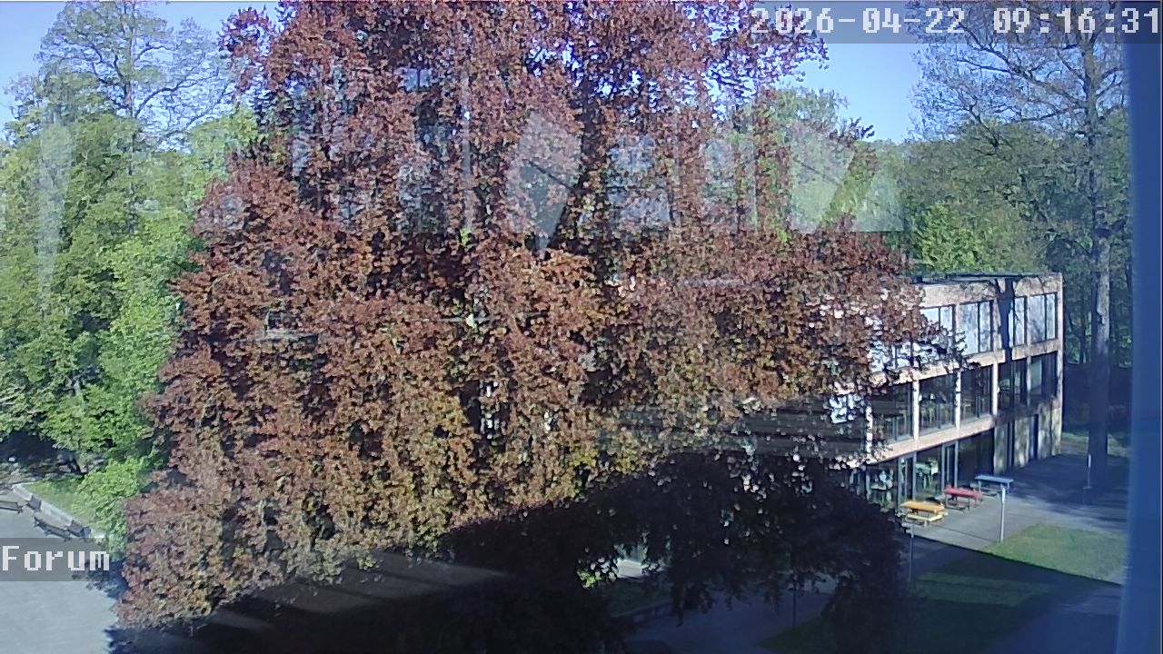 Webcam Forum 09:16