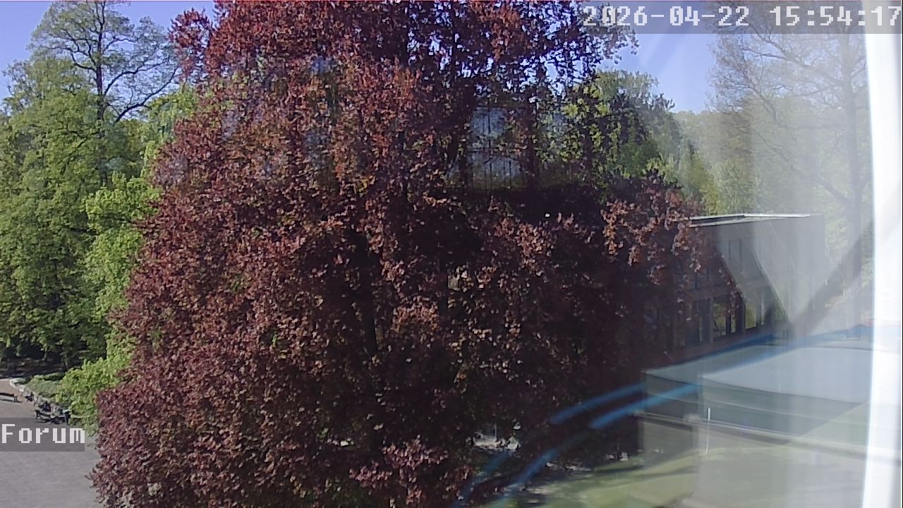 Webcam Forum 15:54