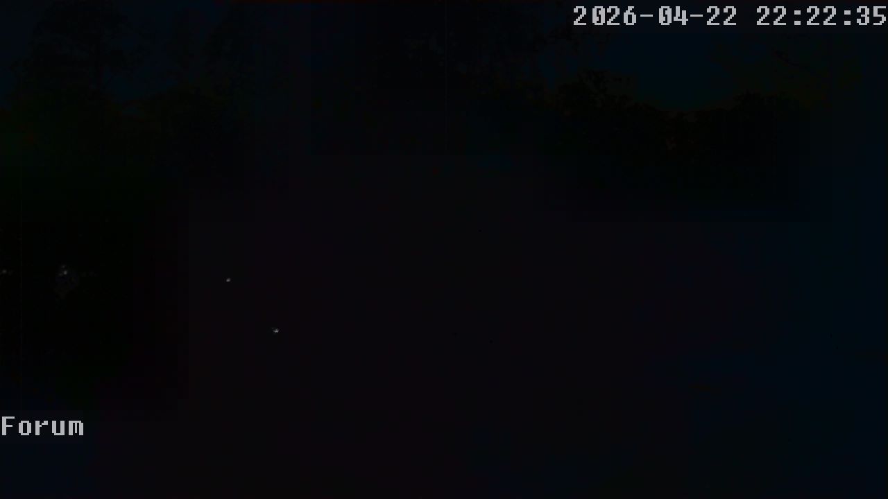 Webcam Forum 22:22
