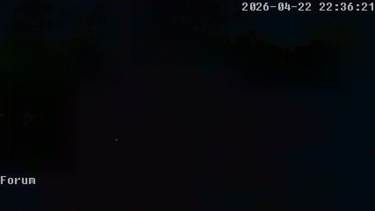 Webcam Forum 22:36