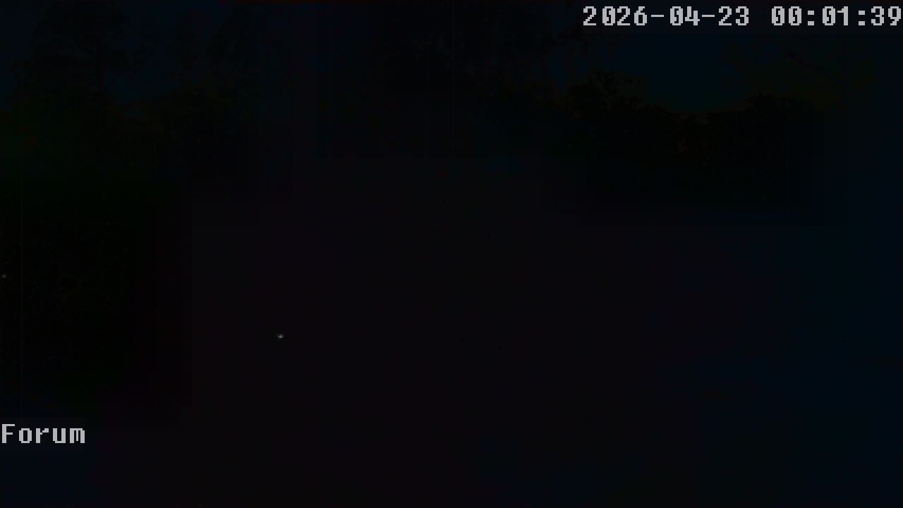 Webcam Forum 00:01