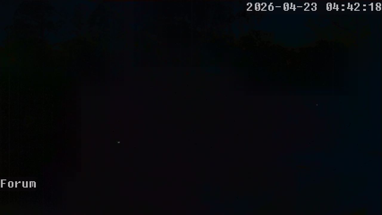 Webcam Forum 04:42