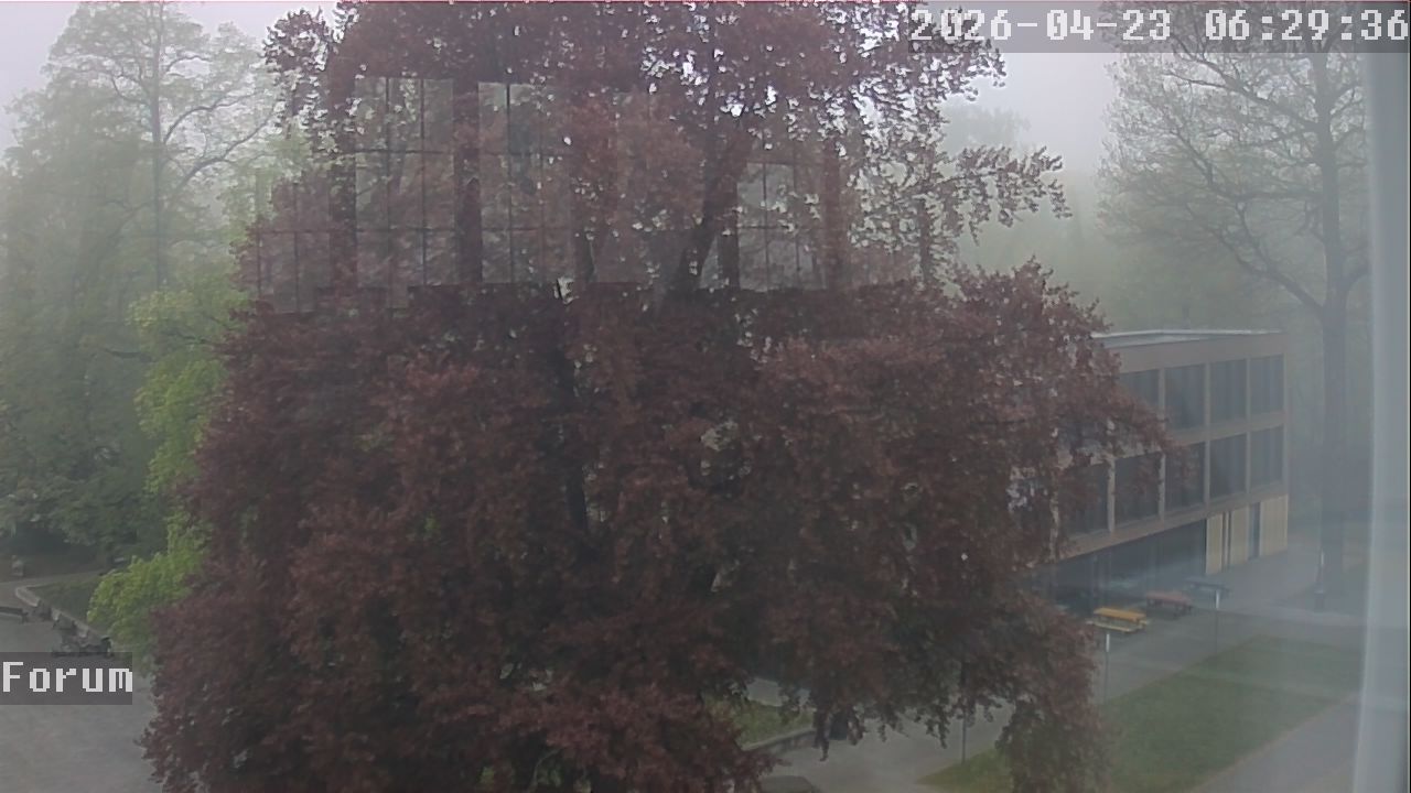 Webcam Forum 06:29
