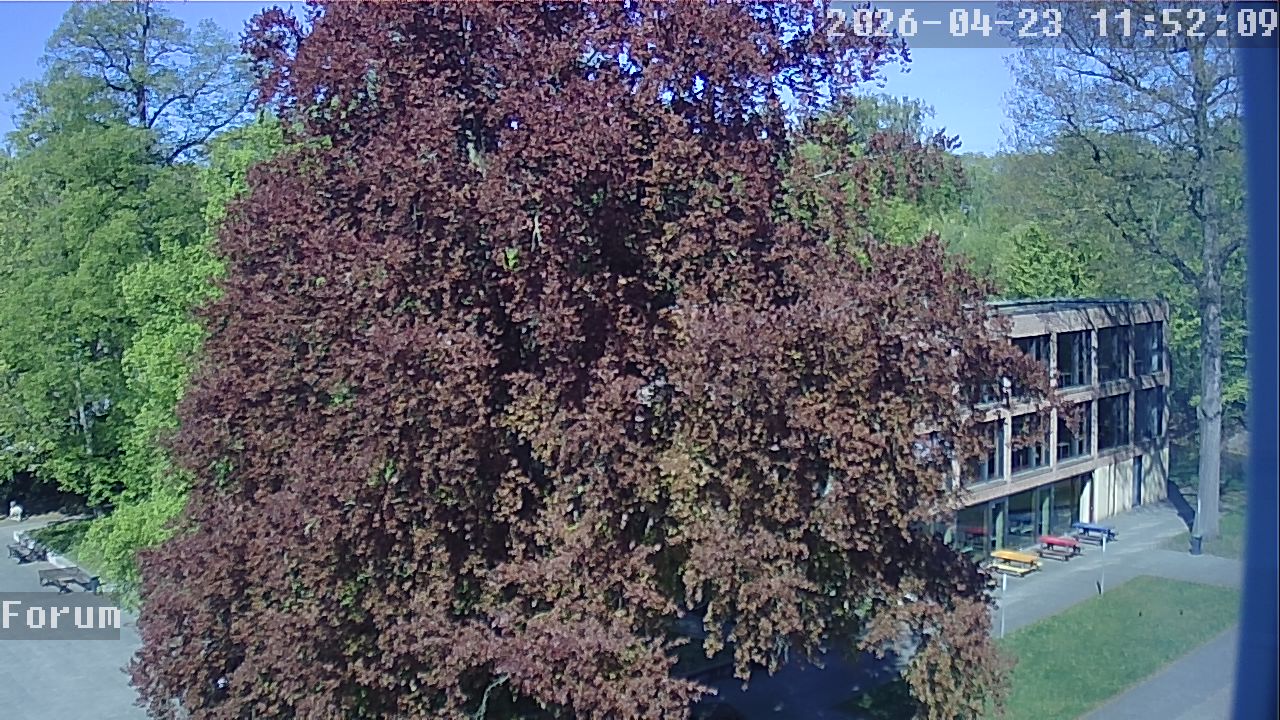 Webcam Forum 11:52