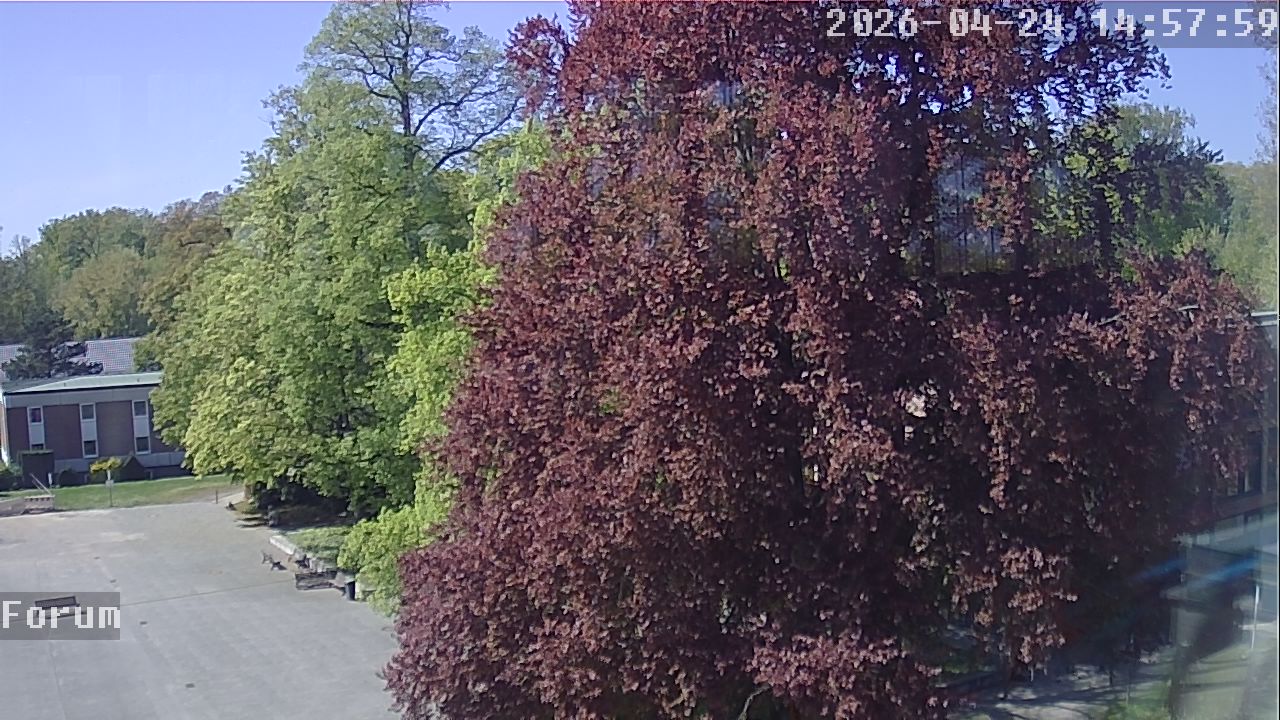 Webcam Forum 14:58