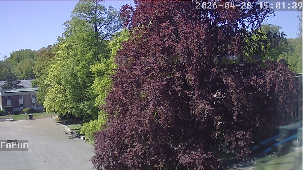 Webcam Forum 15:01
