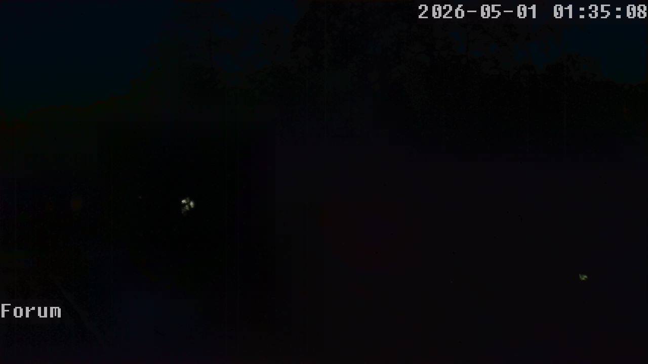 Webcam Forum 01:35