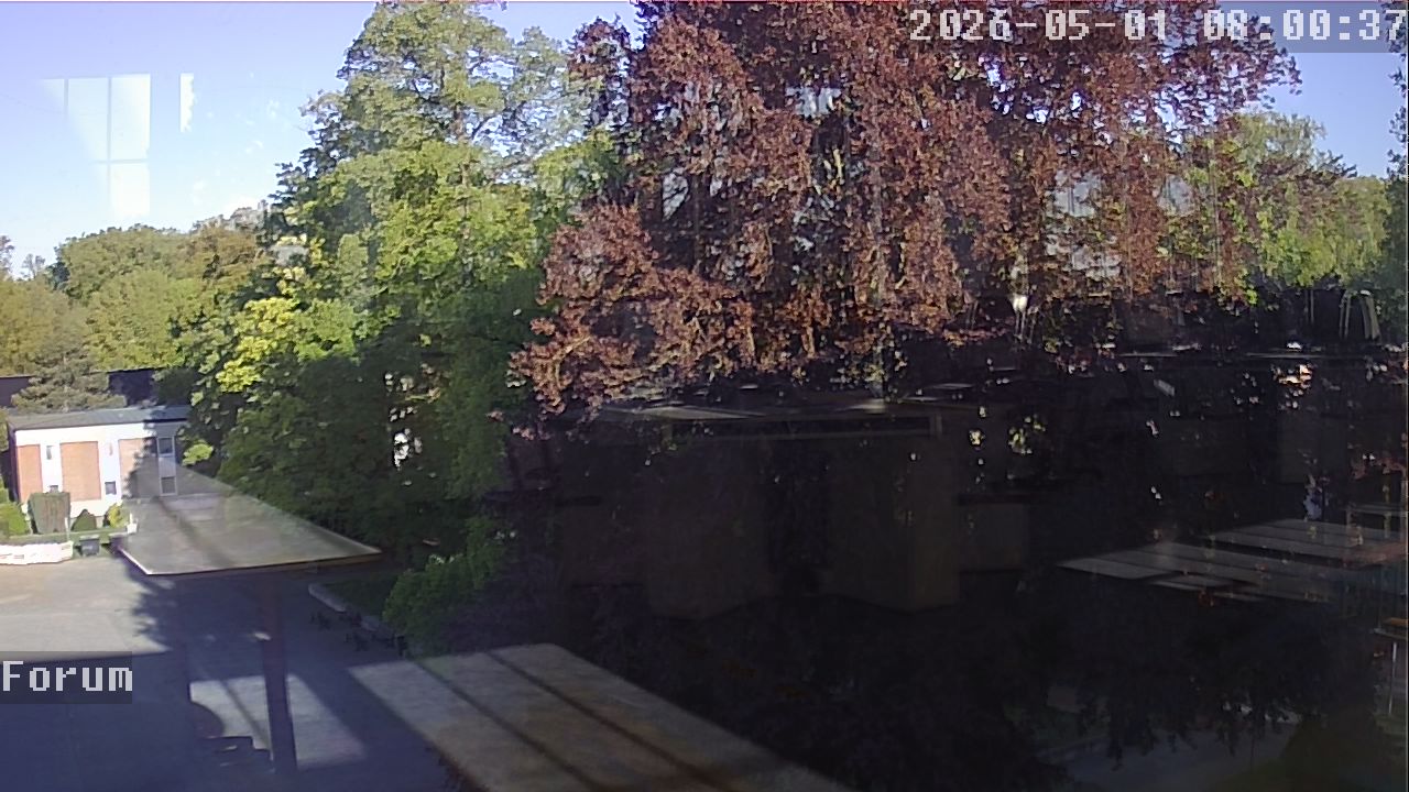 Webcam Forum 08:00