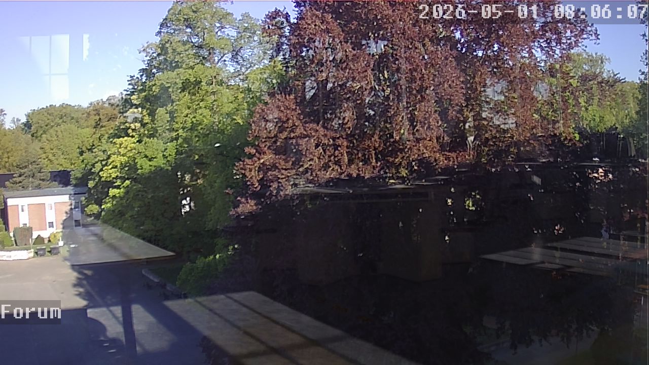 Webcam Forum 08:06