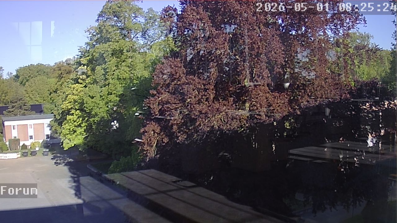 Webcam Forum 08:25