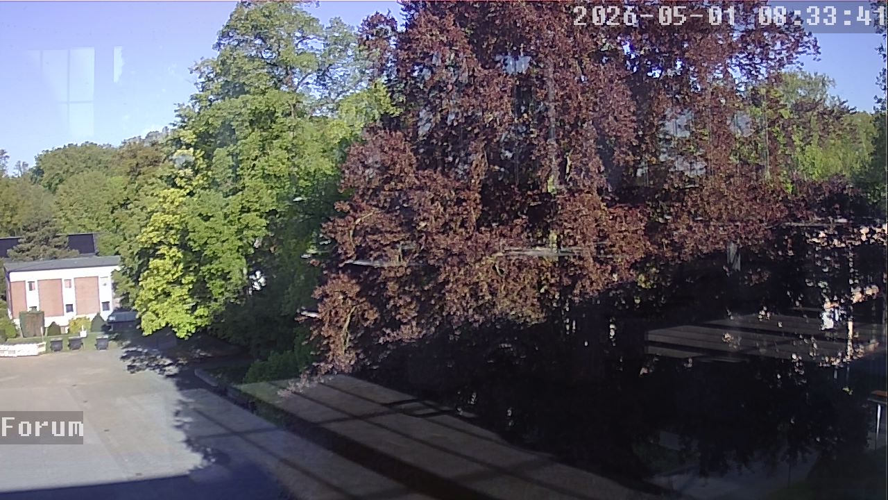 Webcam Forum 08:33