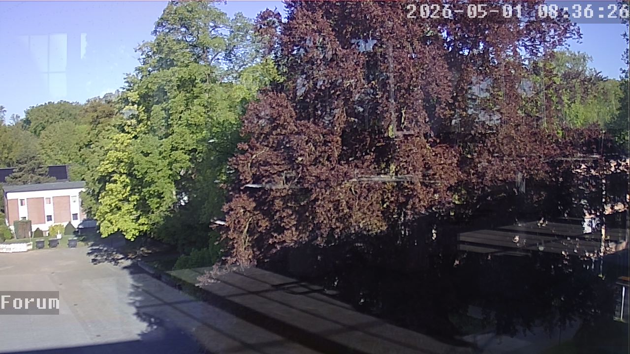 Webcam Forum 08:36