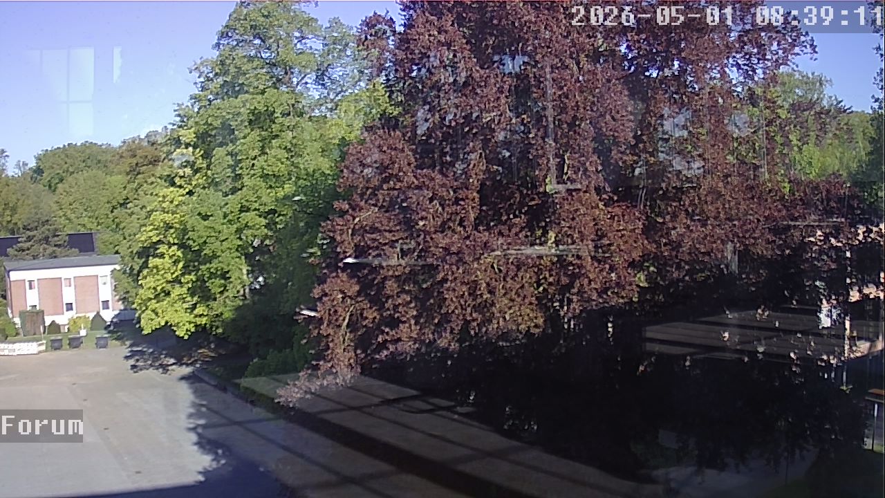 Webcam Forum 08:39