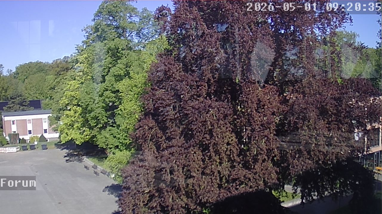 Webcam Forum 09:20