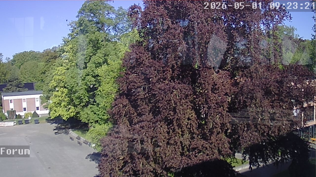 Webcam Forum 09:23