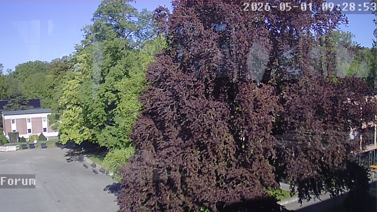 Webcam Forum 09:28
