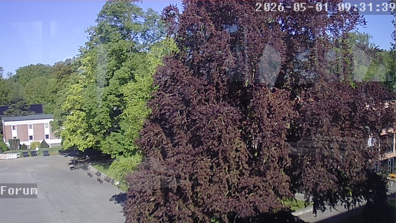 Webcam Forum 09:31