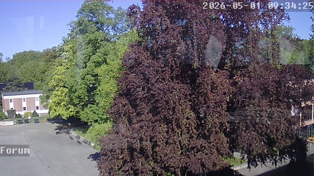 Webcam Forum 09:34